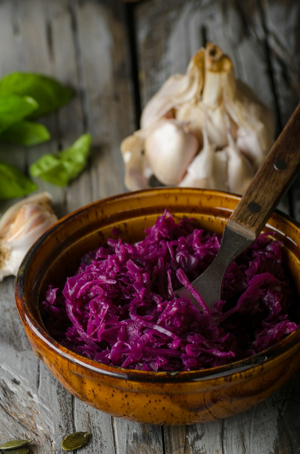 REd cabbage salad food photography